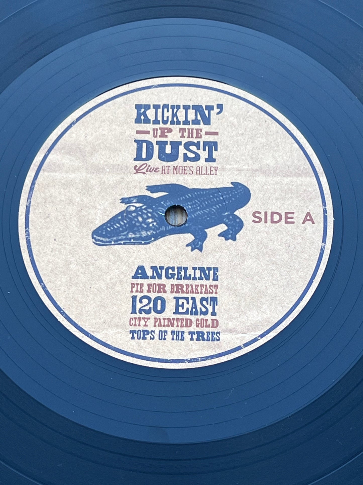 The Brother's Comatose "Kickin' Up the Dust" Live at Moe's Alley Vinyl