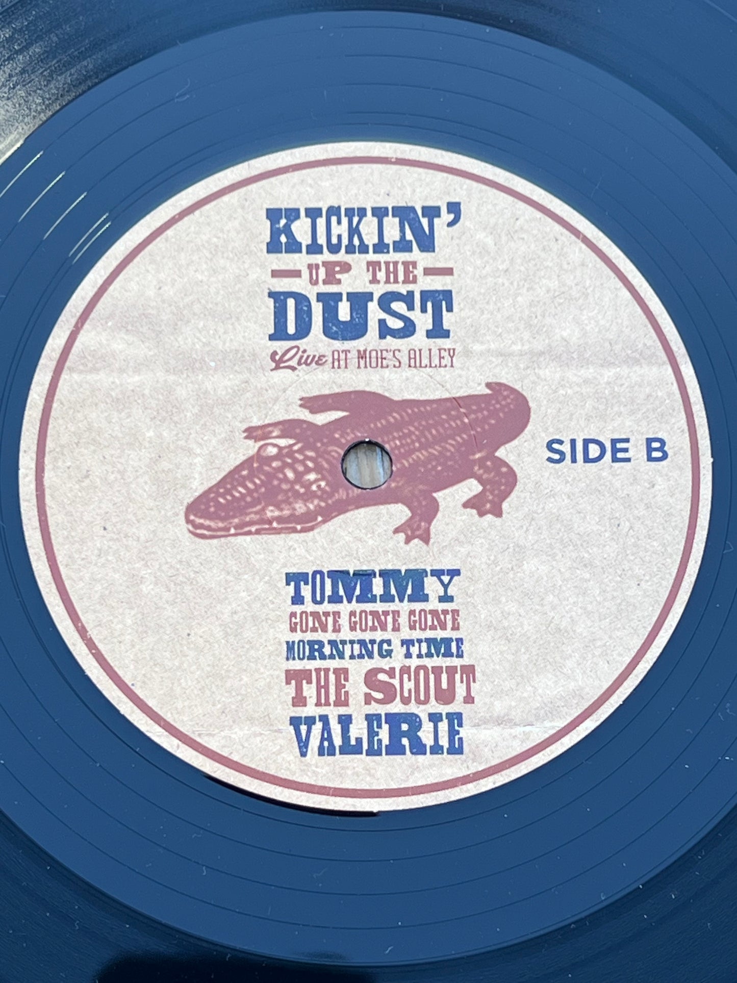 The Brother's Comatose "Kickin' Up the Dust" Live at Moe's Alley Vinyl